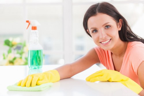 Professional upholstery cleaning for a sofa in Catford home