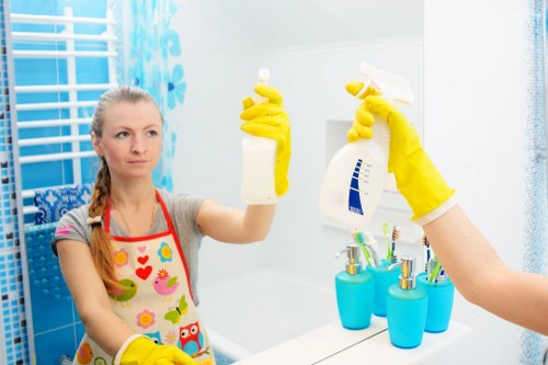 Professional carpet cleaning in Catford with careful deep cleaning treatment