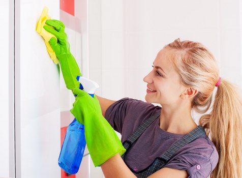 Steam carpet cleaning for a Catford home living room