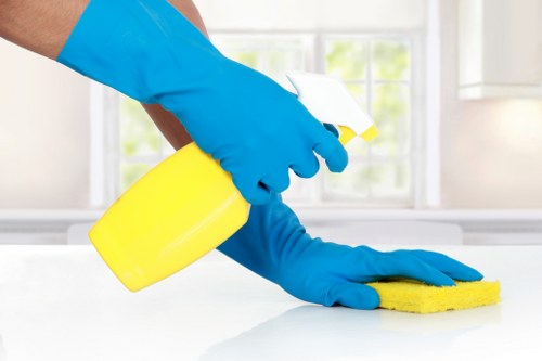 Domestic cleaning tasks in a Catford kitchen and living area