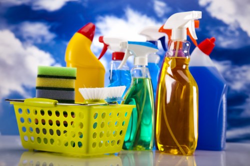 Accessible Carpetcleaning Catford website illustration