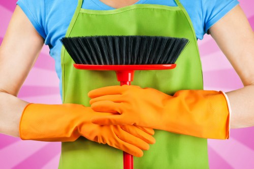 Catford carpet cleaning process showing stain removal and fabric care