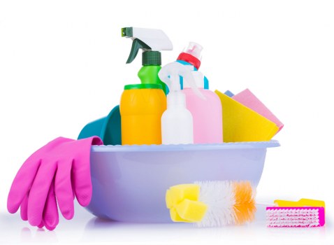 Professional carpet cleaning preparation in a Catford flat