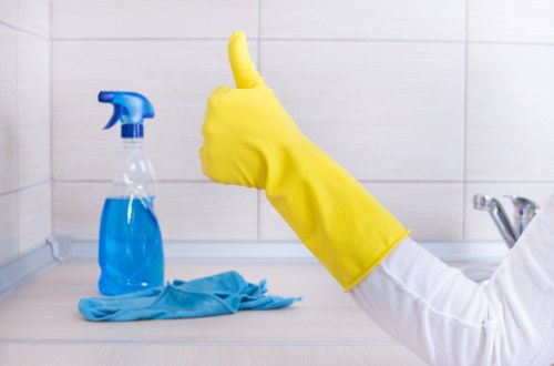 Professional mattress cleaning service for Catford homes and flats