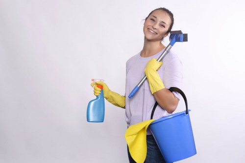 Local Catford cleaning team preparing a one-time residential clean