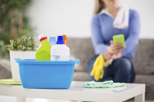 Detailed cleaning of bathroom fixtures in a Catford property