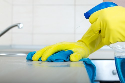 Careful carpet stain removal in a Catford property