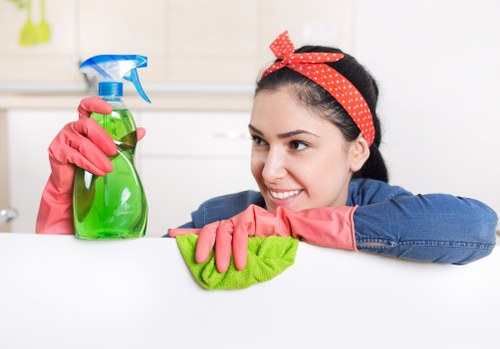 End of move or seasonal refresh clean in a Catford home