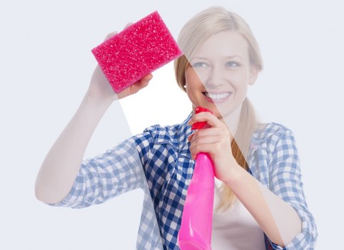 Regular cleaning visit for a Catford office or small business premises