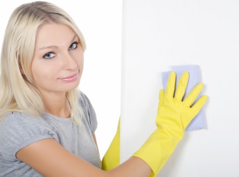 Rug and upholstery cleaning support