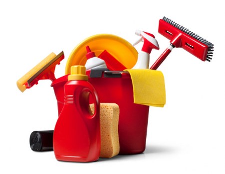 Local Catford pet stain and odour removal for homes and rentals